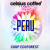 Peru Coop Ecoforest Filtre Kahve