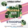 Etiyopya Gigesa Guji Natural Espresso - Filtre Kahve
