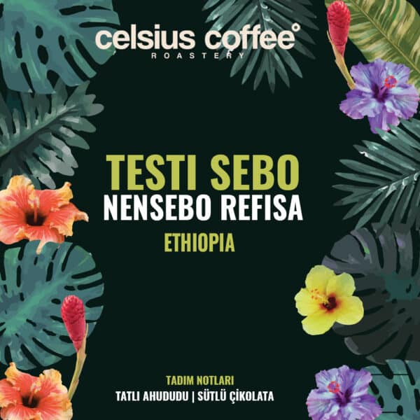 Etiyopya Testi Sebo Nensebo Rafisa Natural - Filtre Kahve